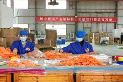 狂歡雙11 搶抓內需爆發節點 義烏數字化產業帶緊急備戰雙11